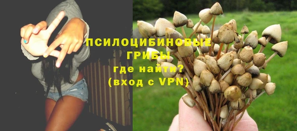 сатива Богородицк