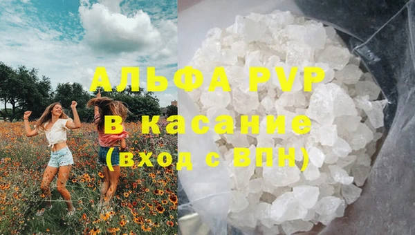 стафф Богданович