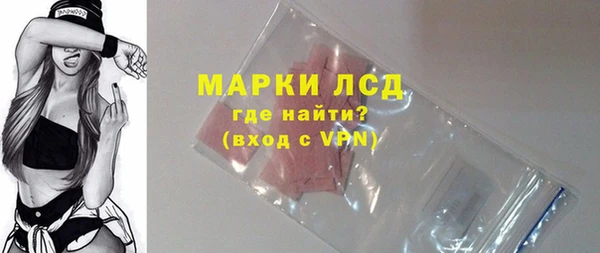 стафф Богданович