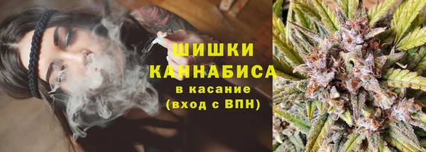 сатива Богородицк
