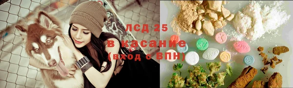 стафф Богданович